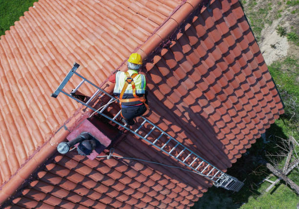 Best Asphalt Shingles Roofing  in Grayslake, IL